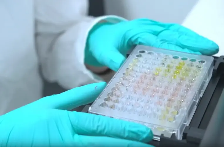 Human Hemopexin ELISA Kit