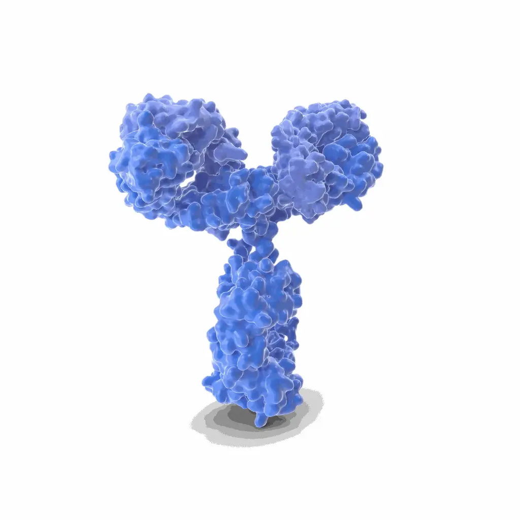 PLK2 Antibody - 100µg