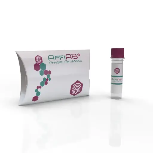 [ABD2359] MAPK12 Antibody - 100µg