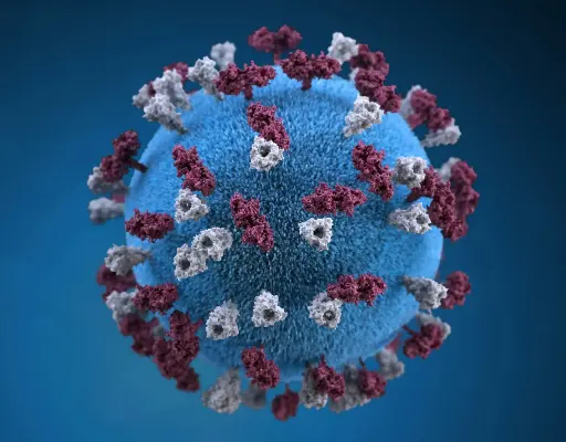 [ABD2433] XRN1 Antibody - 100µg