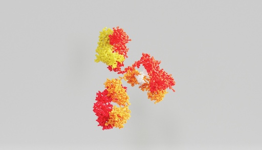 [ABD2942] pan Cadherin Antibody   - 100µg