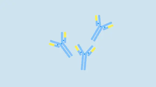 [ABD4279] PECI Antibody - 100µg