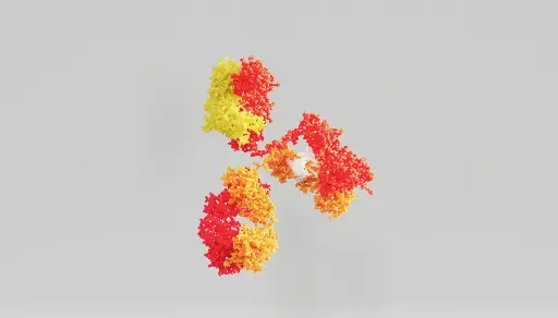 [ABD4382] RAPGEF5 Antibody - 100µg