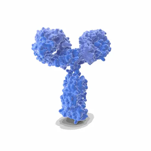 [ABD4470] PLK2 Antibody - 100µg