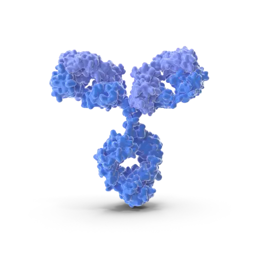 [ABD8509] Brm Antibody - 100µg