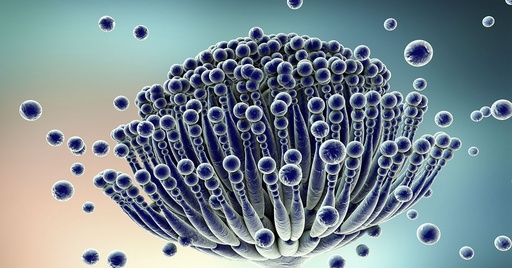 Aflatoxins: Complete Guide to Mycotoxins, Food Safety, and Public Health